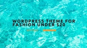 Wordpress Theme For Fashion Under $20