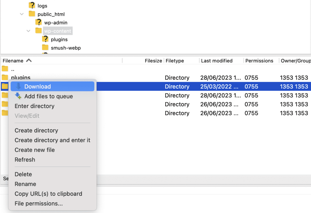 Delete a file using FTP client