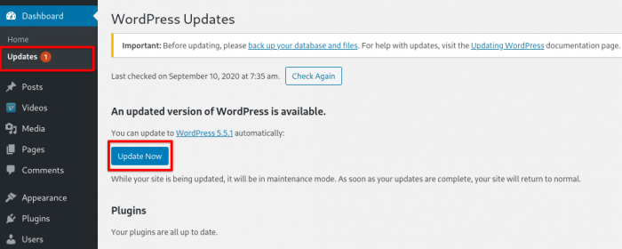 Update WordPress Automatically
